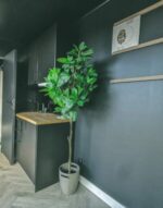 Conteneurs maison de dépôt de 20 pieds – Image 4